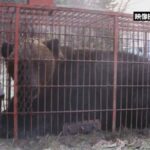 レス2番の画像1