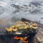 レス2番の画像1