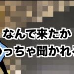 レス2番の画像1