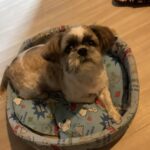 レス94番の画像1