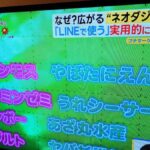 レス33番の画像1