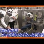 レス2番の画像1