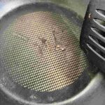 レス26番の画像1