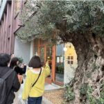 レス1番のリンク先のサムネイル画像