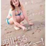 レス19番の画像1