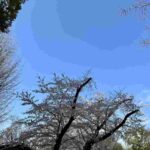 レス30番の画像1