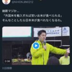 レス65番の画像1