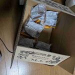 レス7番の画像1