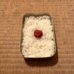 レス8番の画像1