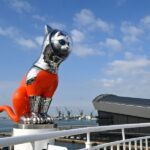 レス1番のリンク先のサムネイル画像