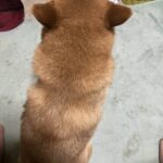 レス26番の画像1