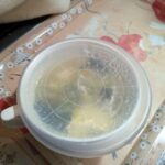 レス14番の画像22