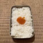 レス24番の画像2