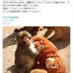 レス1番のリンク先のサムネイル画像