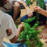 レス1番の画像4