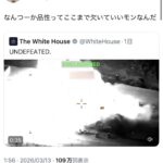 レス1番の画像11