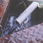 レス1番のリンク先のサムネイル画像