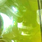 レス15番の画像2