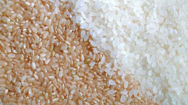 記事サムネイル