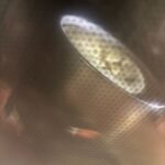 レス26番の画像1