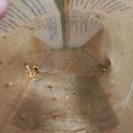 レス26番の画像1