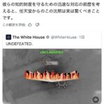 レス1番の画像5