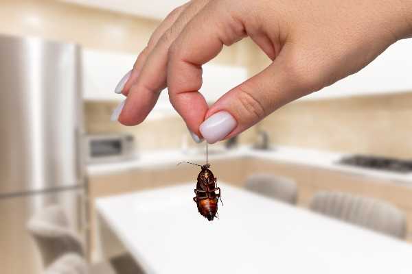 記事サムネイル