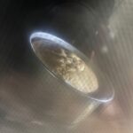 レス30番の画像1