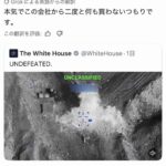 レス1番の画像7