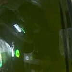 レス15番の画像1