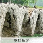 レス1番のリンク先のサムネイル画像