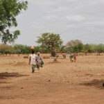 レス40番の画像8