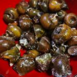 レス2番の画像2