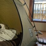 レス19番の画像1