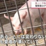 レス1番の画像3