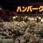 レス66番の画像23