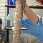 レス26番の画像1