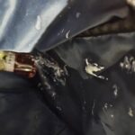 レス3番の画像10