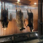 レス29番の画像2