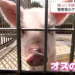 レス1番の画像1