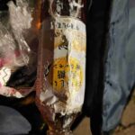 レス8番の画像1