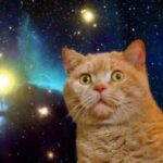 レス19番の画像2