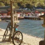 レス83番の画像7