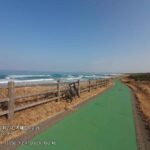 レス83番の画像10