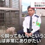 レス1番の画像4