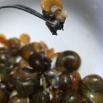 レス18番の画像1