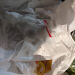 レス14番の画像10