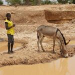 レス40番の画像9