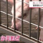 レス1番の画像2