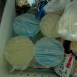 レス14番の画像27